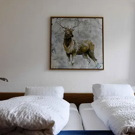 Pazzola Hotell Disentis