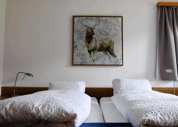 Pazzola Hotel Disentis